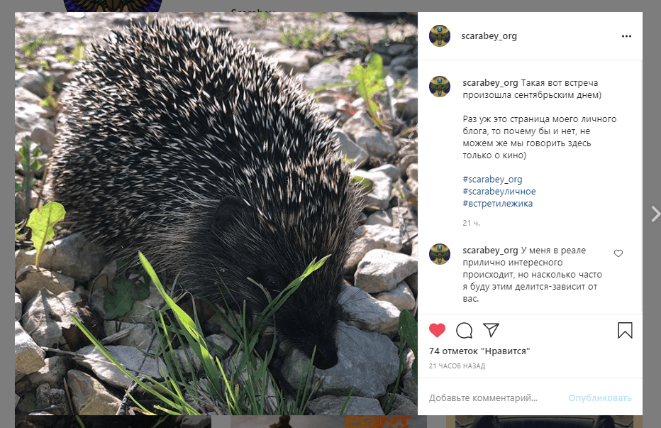 Феномен Instagram